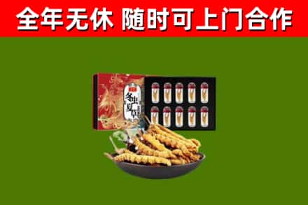 蓬莱区烟酒回收冬虫夏草礼盒.jpg